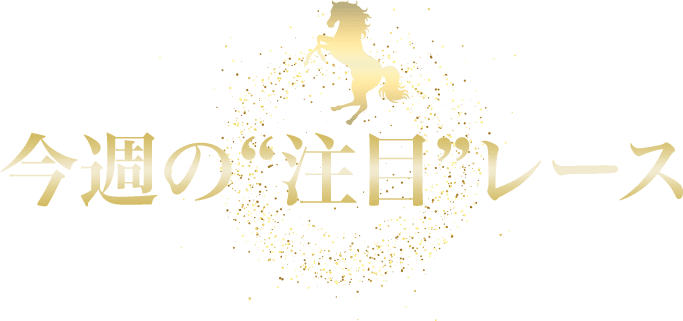 今週の注目レース
